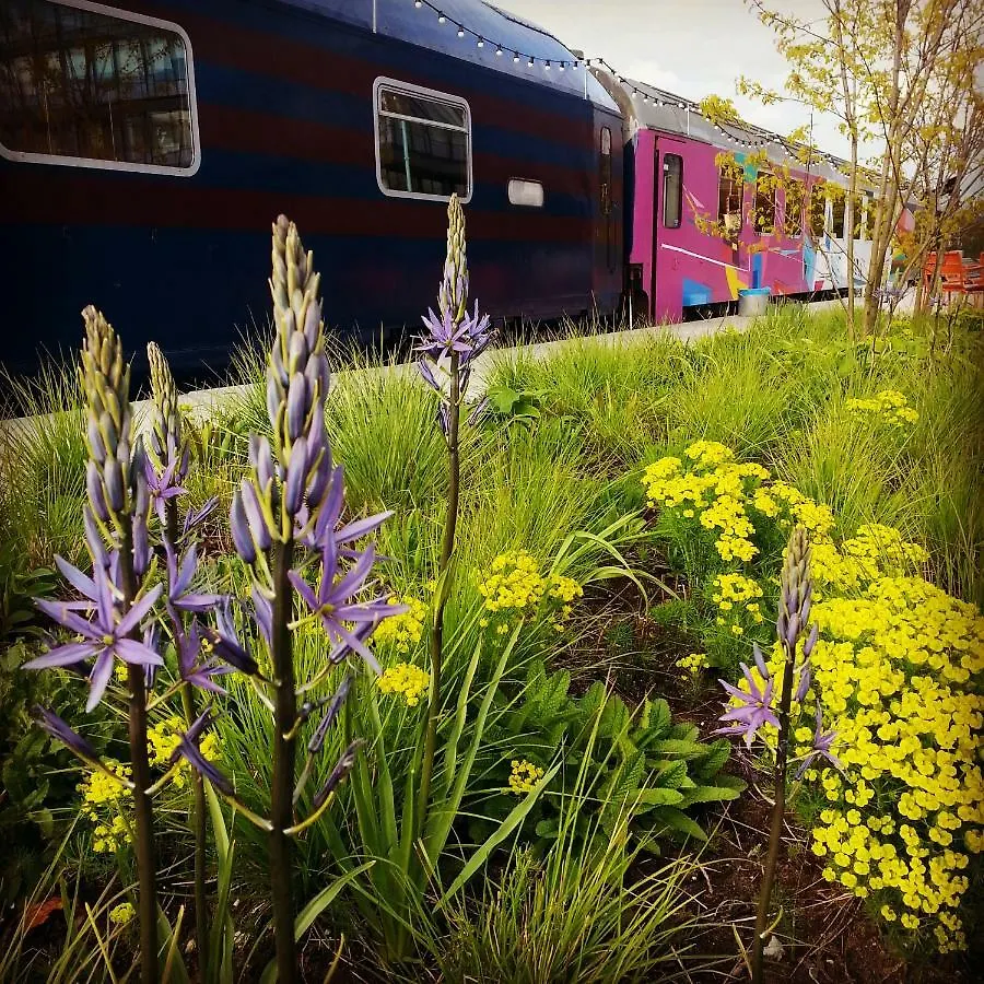 Train Lodge Amsterdam Hostel